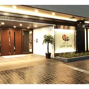 Lantana - Vacation 44970v 大阪